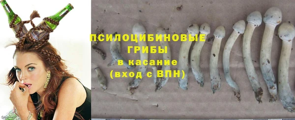 метадон Горнозаводск