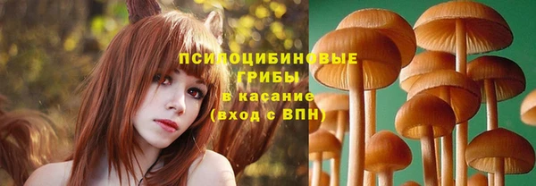 мет Горняк