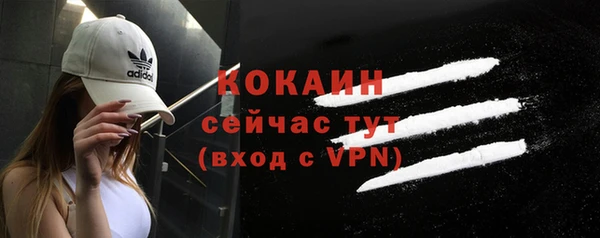 мет Горняк