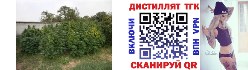 ТГК Wax  blacksprut вход  Окуловка 
