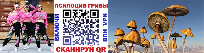 Галлюциногенные грибы Magic Shrooms Окуловка
